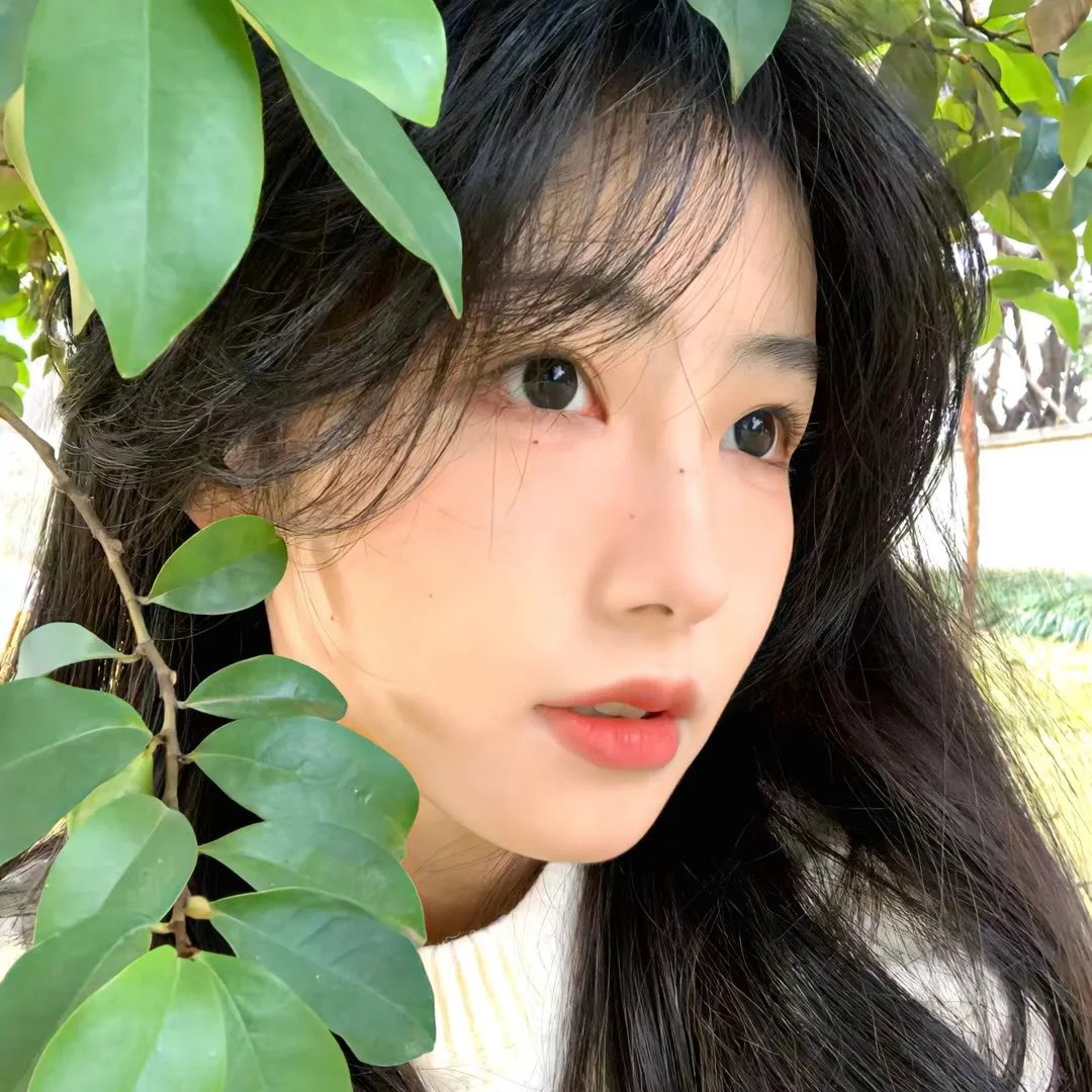 我在冷宫养崽崽